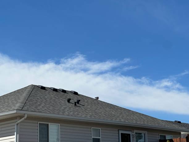 Best Roof Leak Repair  in Macarthur, WV